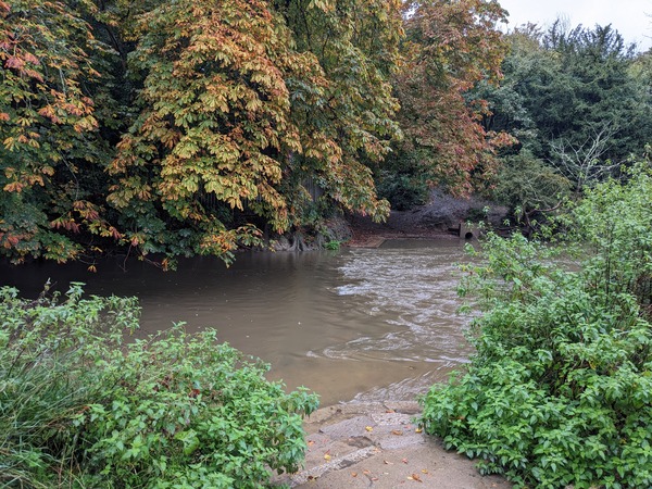 Stepping stones bridge