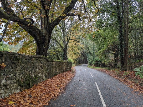 PiIgrims Way on Road