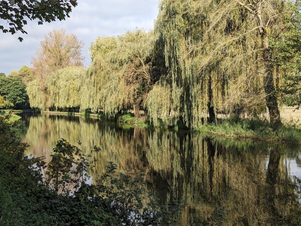 Reflections in the River Wey